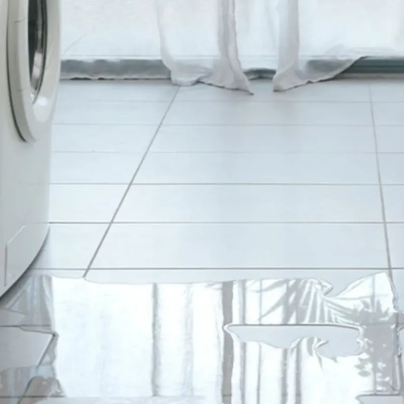 Appliance Leak Cleanup in Crockett County, TX