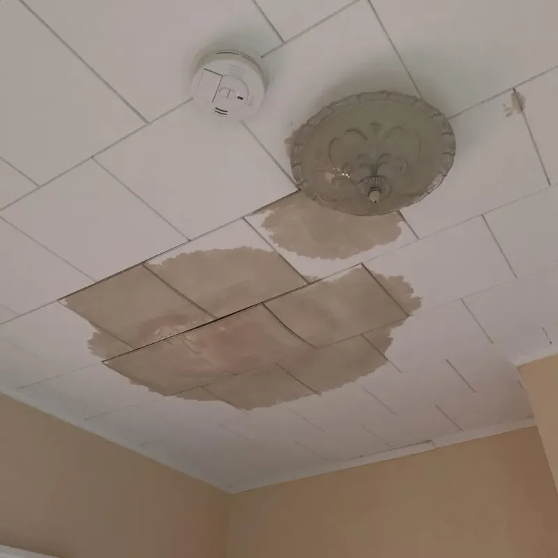 Ceiling Water Damage Repair in Crockett County, TX