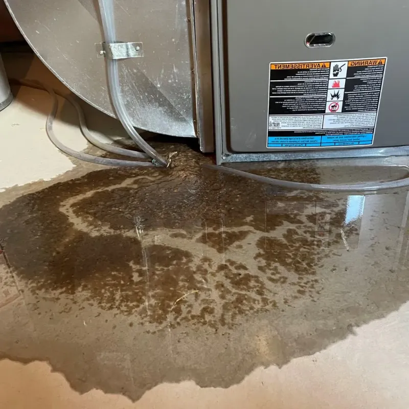 Pipe Burst and Leak Restoration in Crockett County, TX