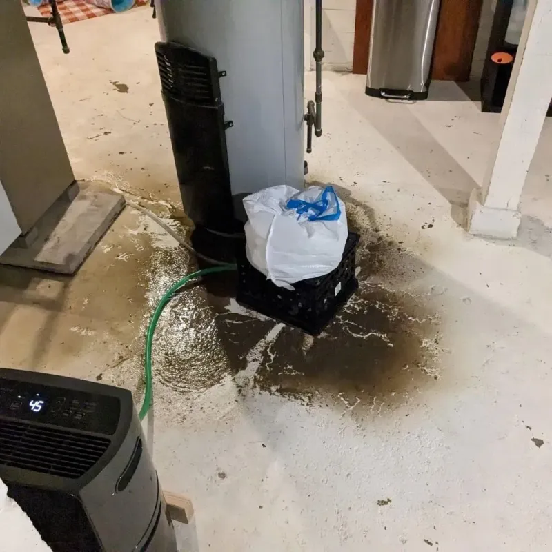Sewage Backup Cleanup Service in Crockett County, TX